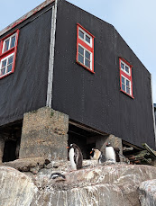 Port Lockroy - Antarctica